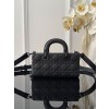 Dior Lady D-joy S2